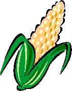 mexconnect